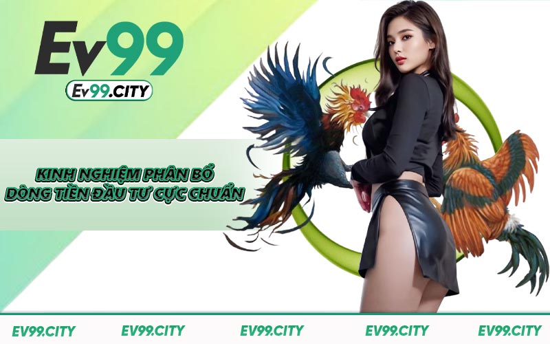 Kinh nghiệm phân bổ dòng tiền đầu tư cực chuẩn