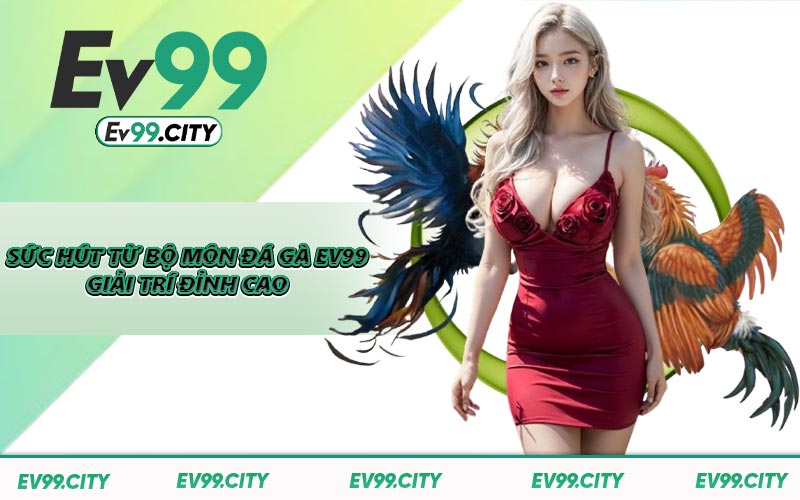 Sức hút từ bộ môn đá gà EV99 giải trí đỉnh cao